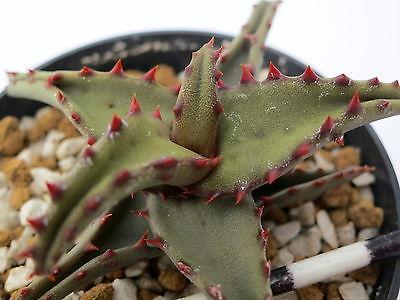 廠房裝修,深圳廠房裝修,深圳廠房裝修公司